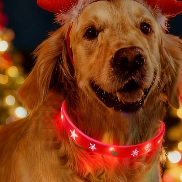 XMAS LED light rope "YULE"