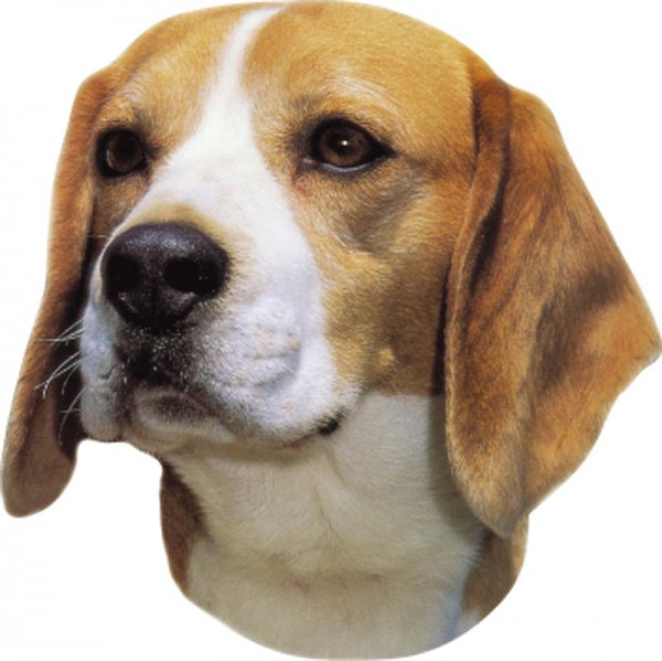 Sticker Beagle