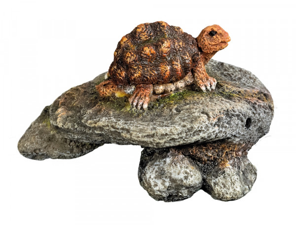 Aqua Ornaments "Schildkröte"