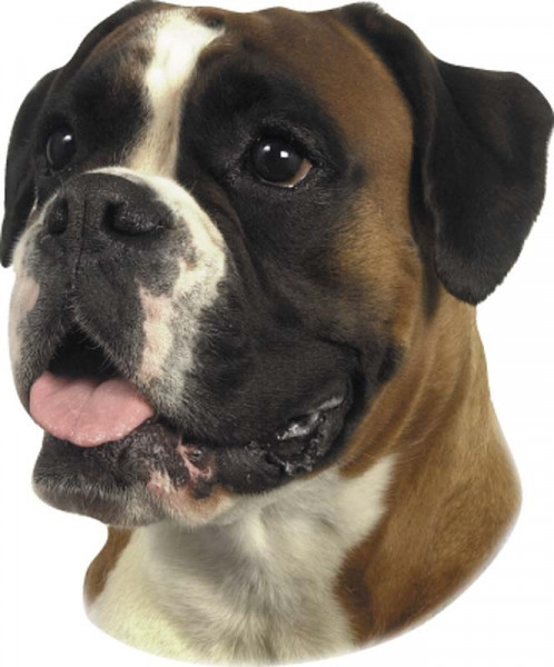 Aufkleber Boxer
