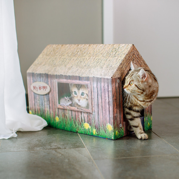 Katzenhaus aus Karton