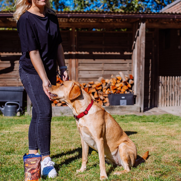 StarSnack Chicken´n Beef Roll