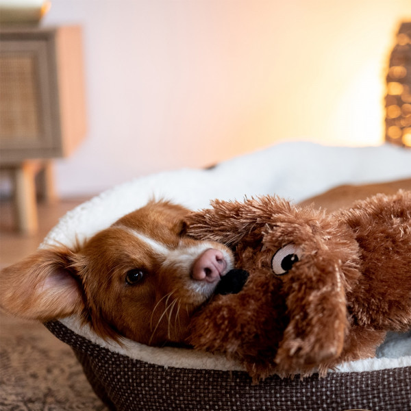 Plüsch Hund "Schlappi"