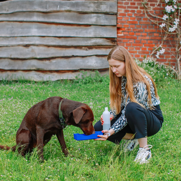 Reise-Trinkwasserflasche