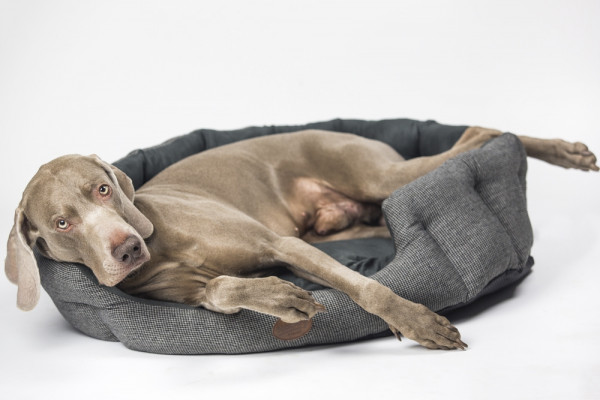 comfort bed oval „Josi“ brown