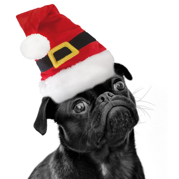 Xmas Hat "Santa"