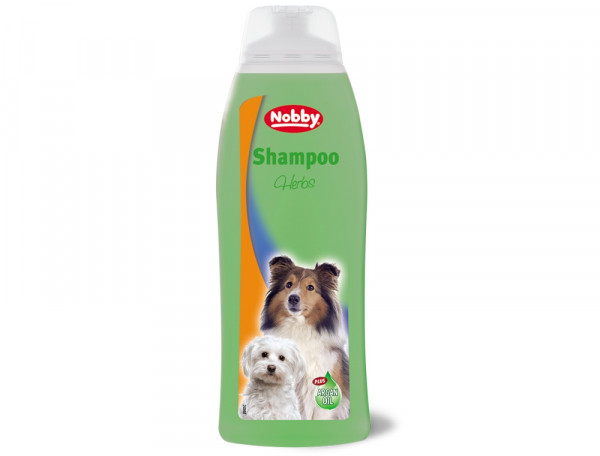 Shampoo Kräuter