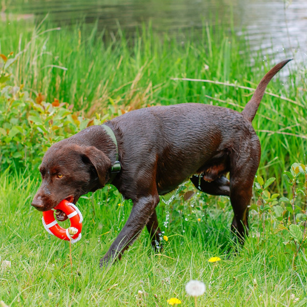 TPR lifebuoy with rope