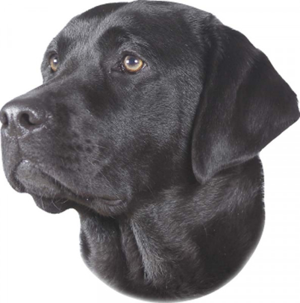 Aufkleber Labrador schwarz