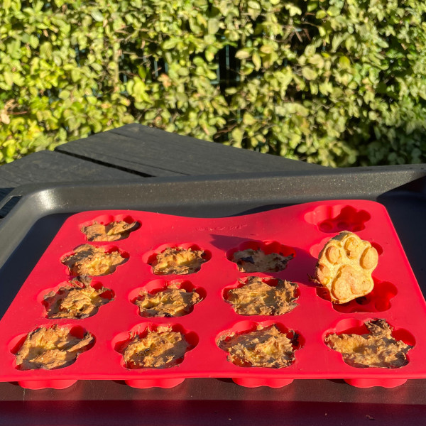 XMAS Silikon Backform "Paw"