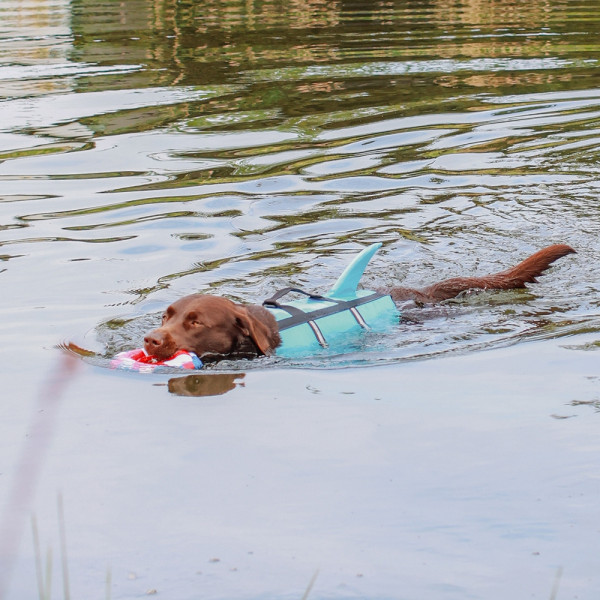 Schwimmhilfe "Sharki"