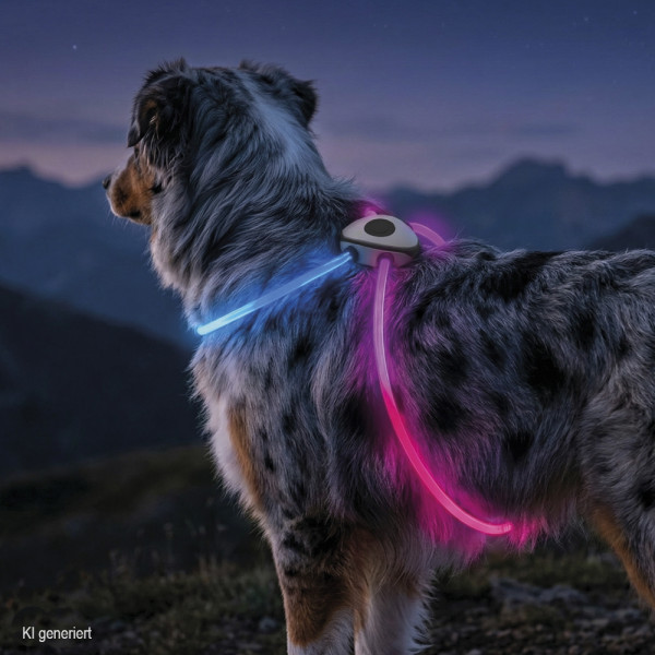 LED Leuchtgeschirr "SHINY"