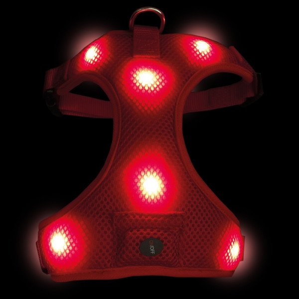Harness "FLASH MESH"