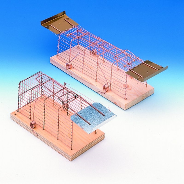 Wire box trap for rats