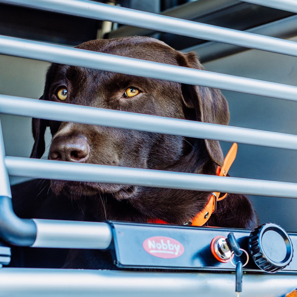 Aluminium car traveller box "ROUND CORNER"