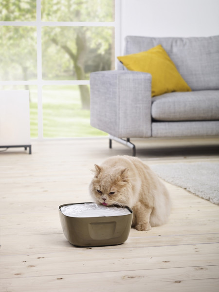 Trinkbrunnen "Volcano"