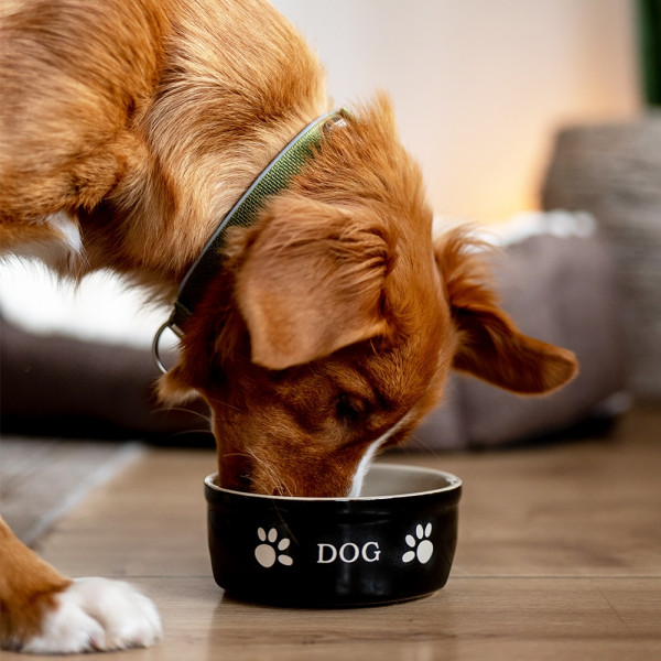 Dog ceramic bowl "DOG"