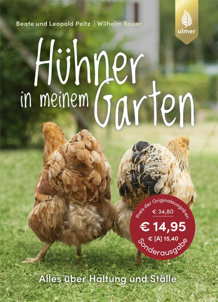 Hühner in meinem Garten