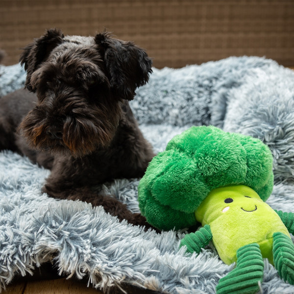 Plush Vegetable Broccoli