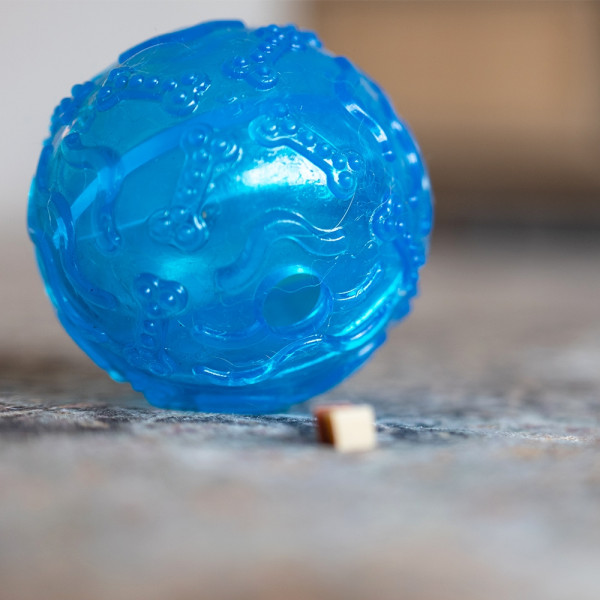 TPR Snack Ball „Bone“