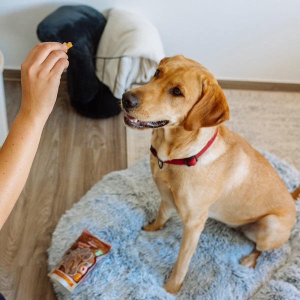 StarSnack SENSITIVE Chicken