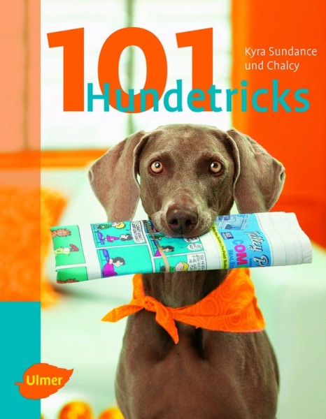 101 Hundetricks