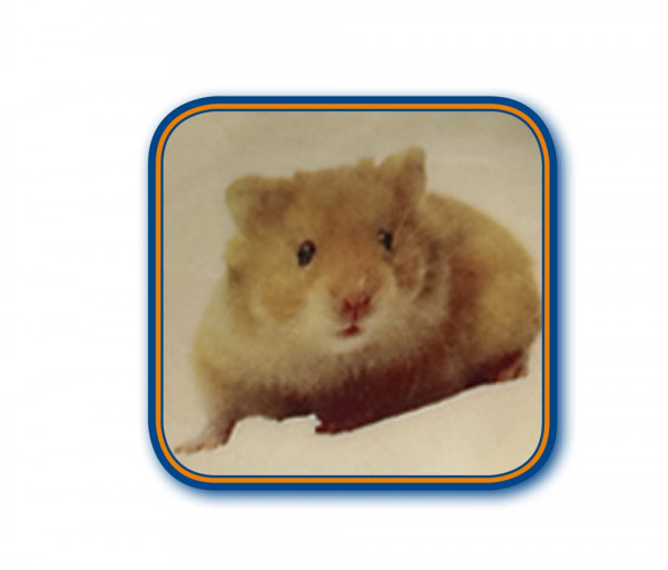 Hamster-Keramikschale