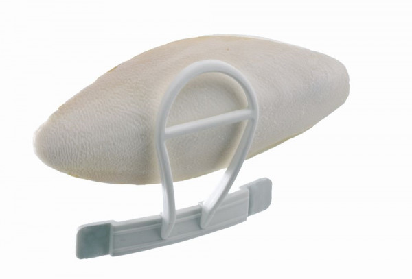 Holder for cuttle fish