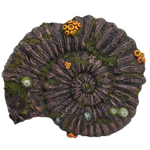 Aqua Ornaments Ammonite Fossil’