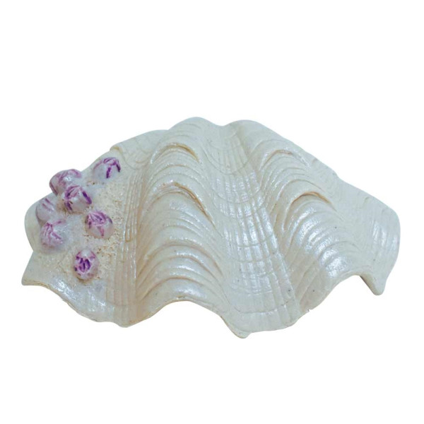 Aqua Ornaments ‘Shell’