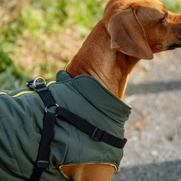 Dog coat "Sobak"