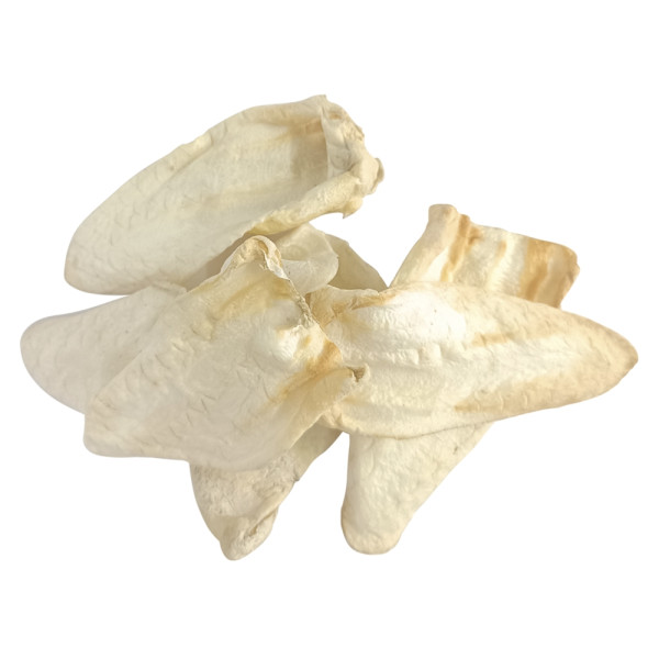 Nobby Nature Goat ears