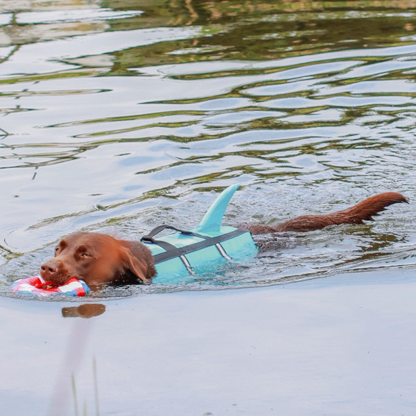 Schwimmhilfe "Sharki"