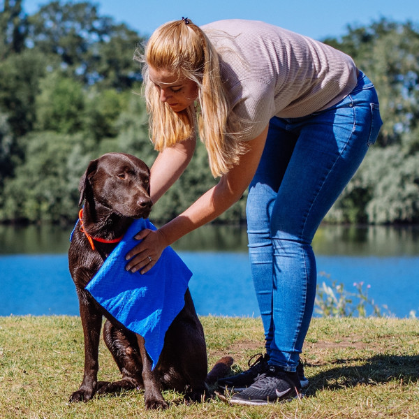 Handtuch "SPEED DRY COMFORT"