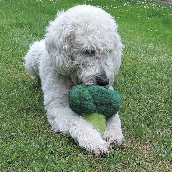 Plush Vegetable Broccoli