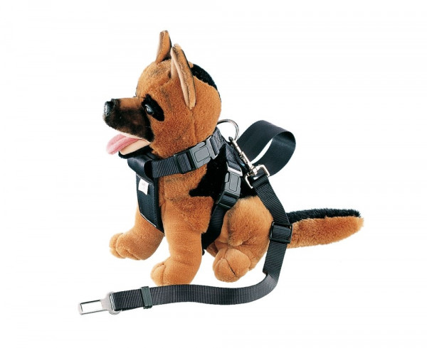 Harness incl. safety belt