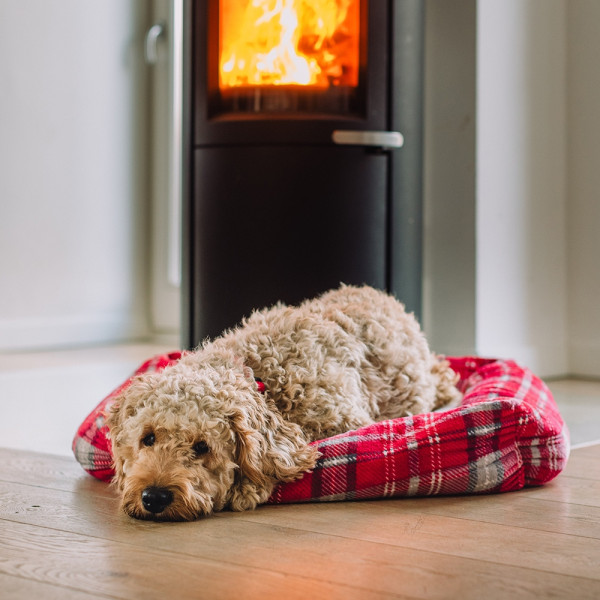 XMAS Komfort Bett eckig "KARELI"