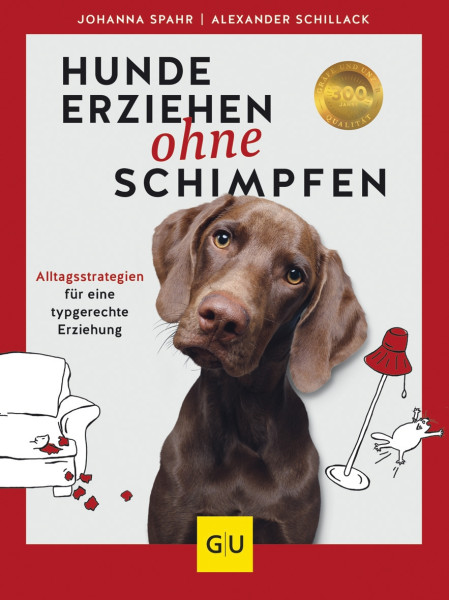 Hunde erziehen ohne schimpfen