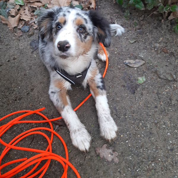 Schleppleine rund "Cover"