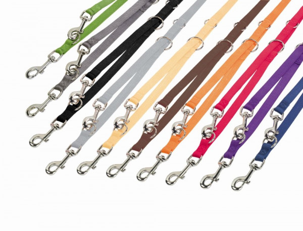 Training leash "Classic"
