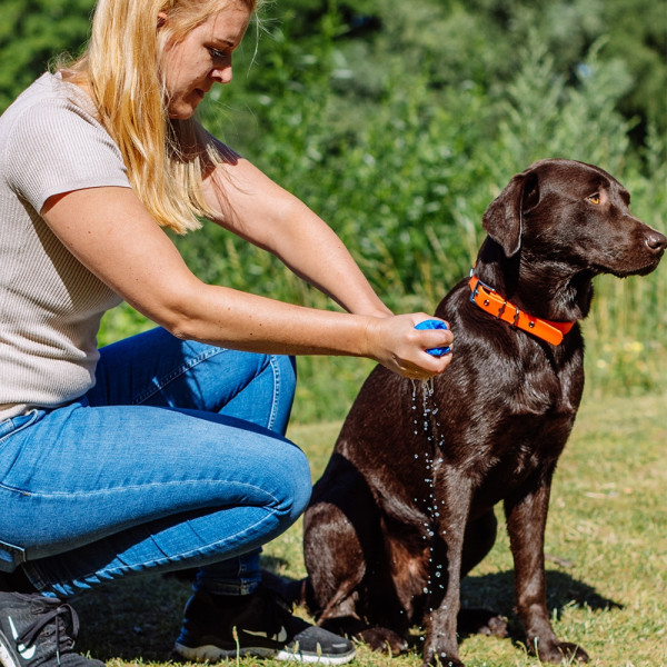 Handtuch "SPEED DRY COMFORT"