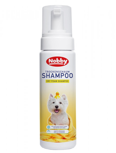 Dry foam shampoo