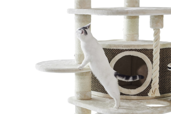 Cat-scratcher "ELIF"