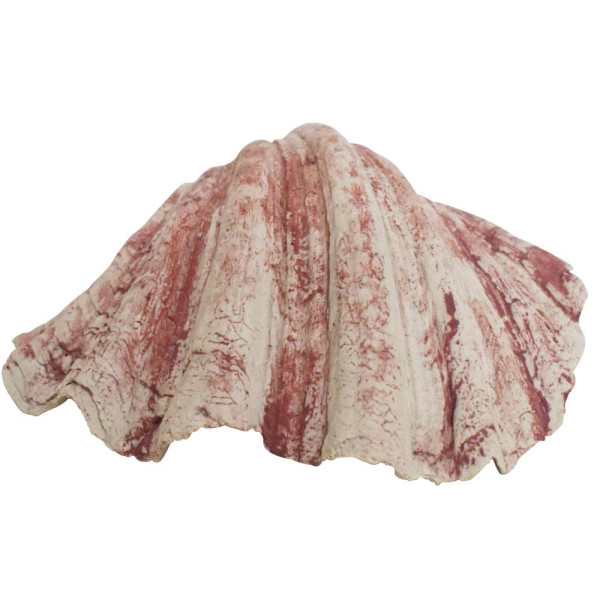 Aqua Ornaments "Muschel"