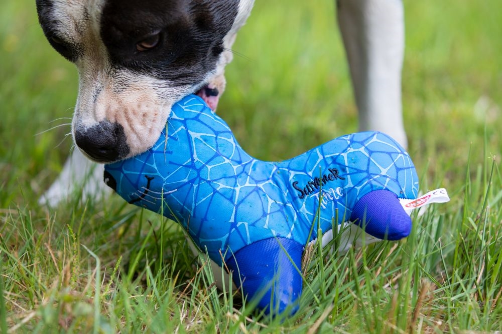 Neoprene Seal Floating Toys