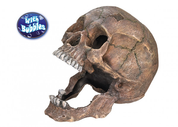 Aqua Ornaments "SCULL"