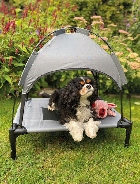 Dog Lounger "Chill Cool"