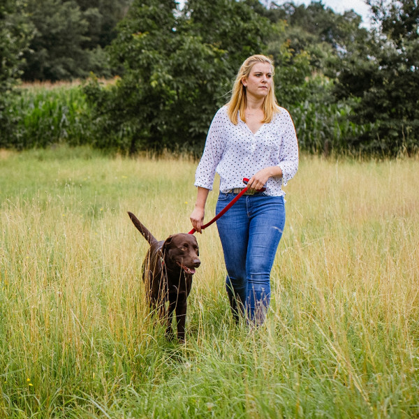 Training leash "Classic Preno Royal"