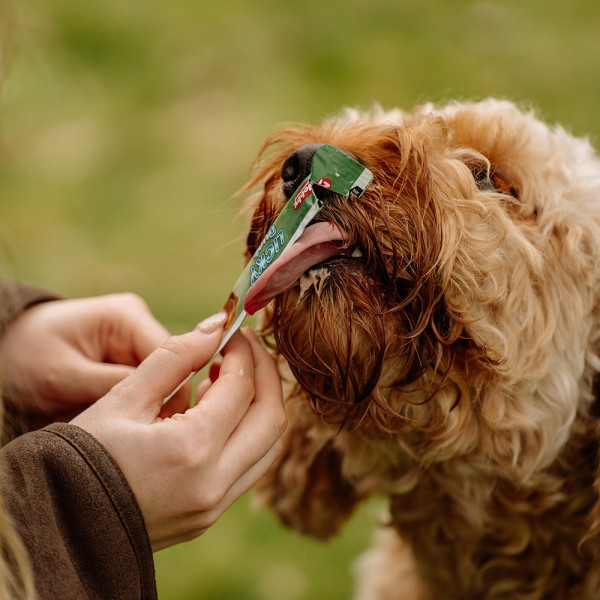 StarSnack LICKY Duck