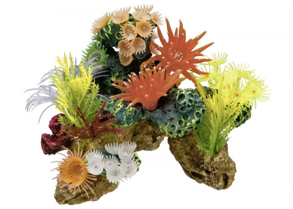 Aqua Ornaments "CORAL STONE" w/ plants